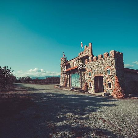 Chateau Bruale Tkhilistskaro Εξωτερικό φωτογραφία