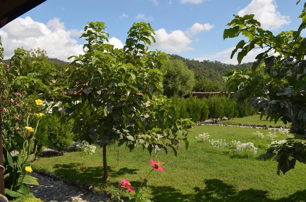 Chateau Bruale Tkhilistskaro Εξωτερικό φωτογραφία